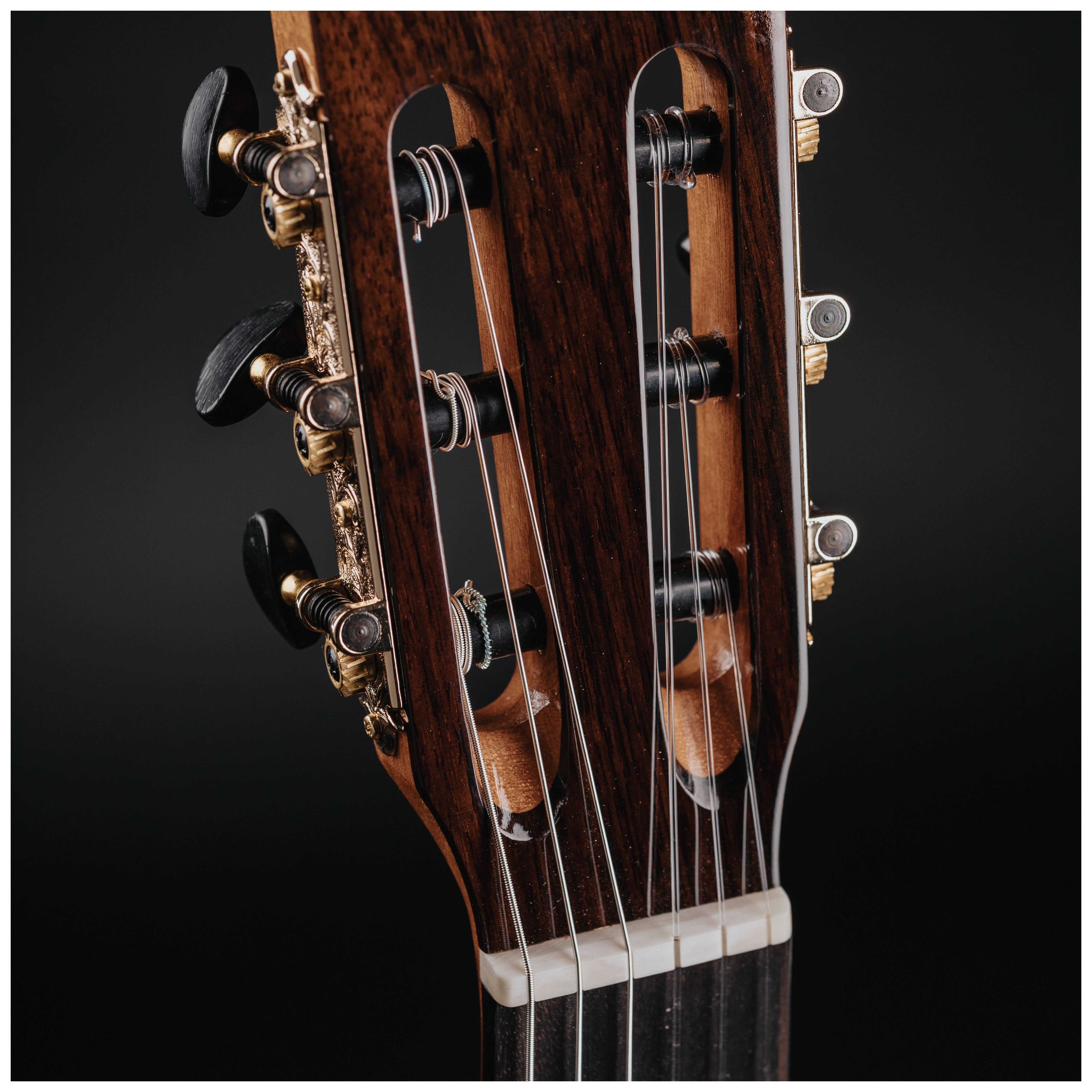 Redwood Cantora Pro 4/4 SM 18