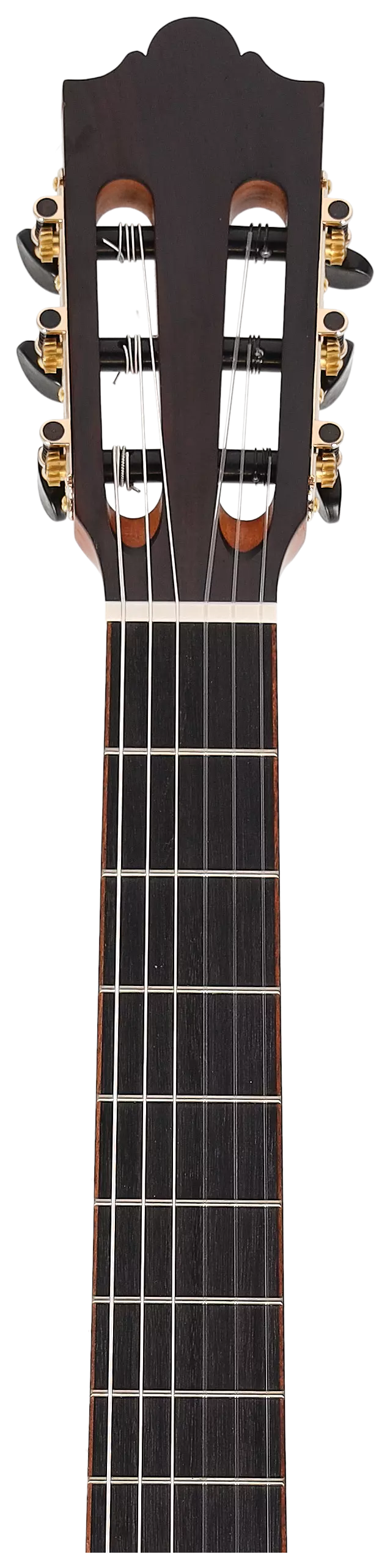 Redwood Cantora Plus 4/4 SM Satin Black 11