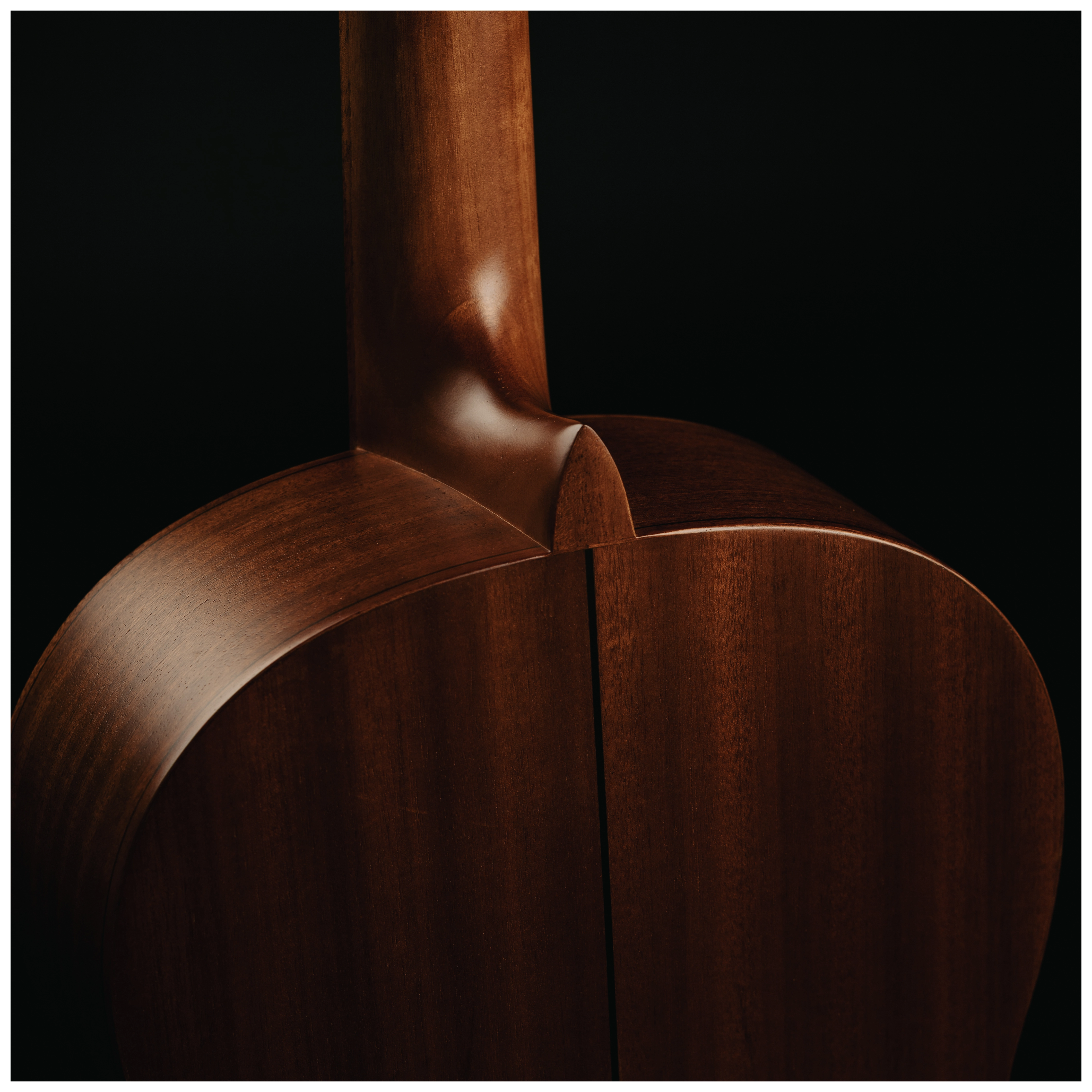 Redwood Cantora Plus 4/4 SM Satin Black 29
