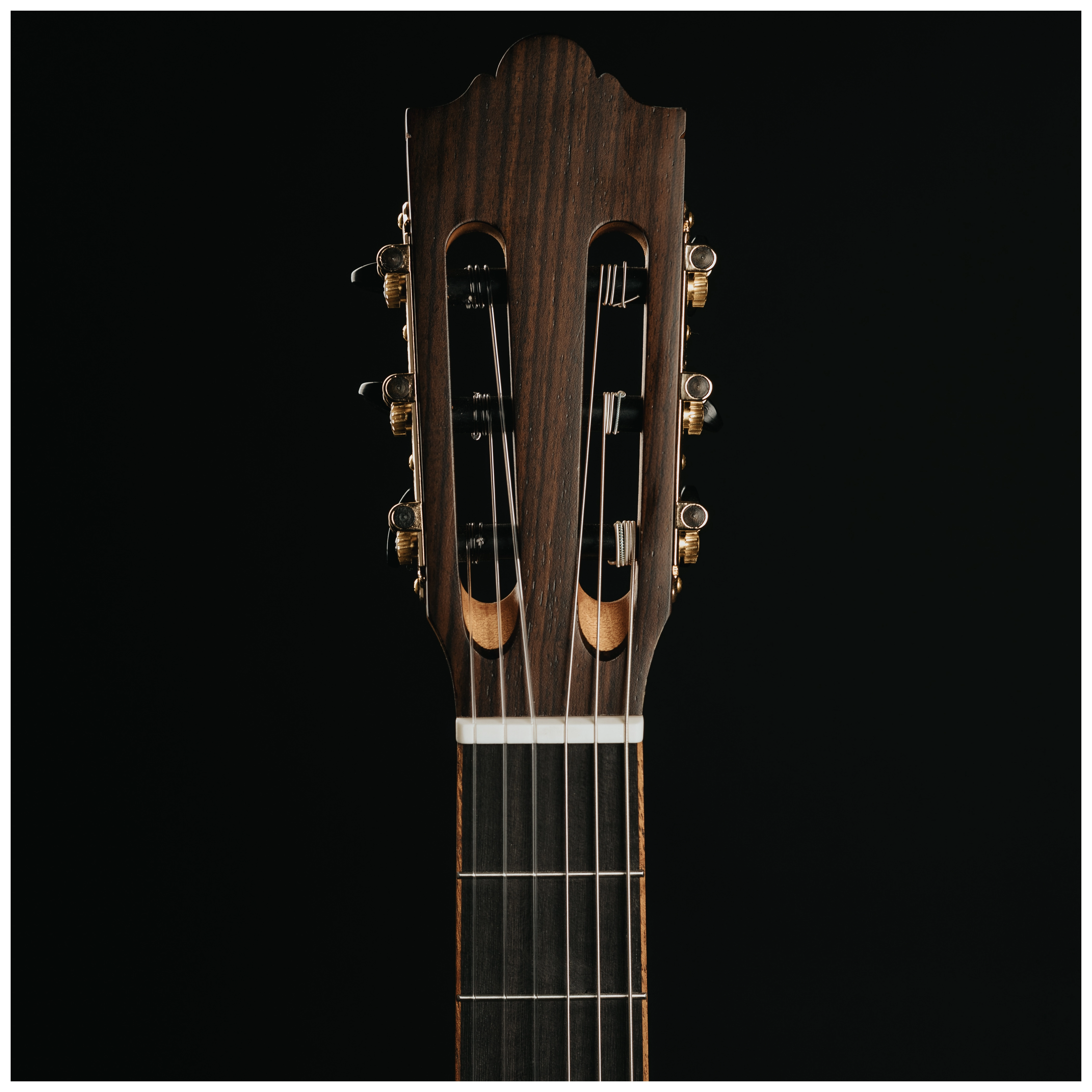 Maton Cantora Plus 4/4 LH 20