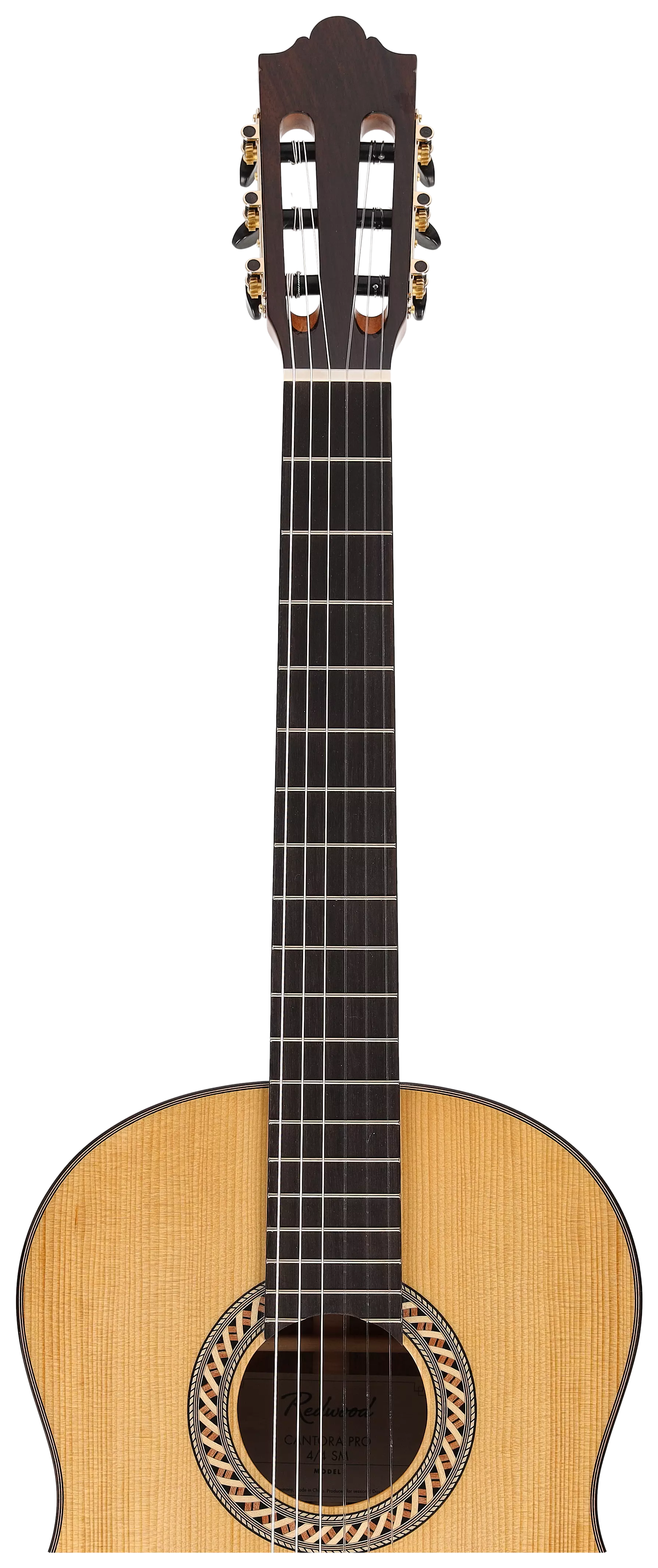 Redwood Cantora Pro 4/4 SM 9