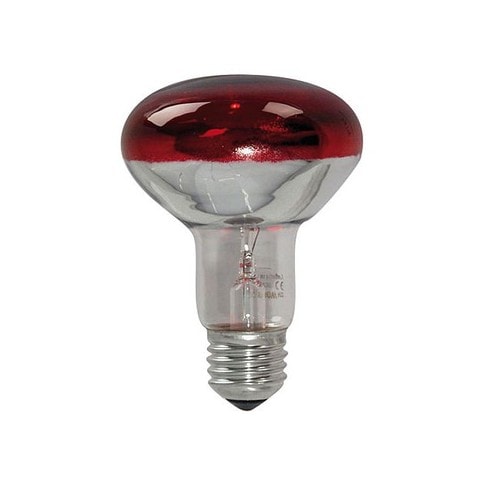 mp cat light accessories