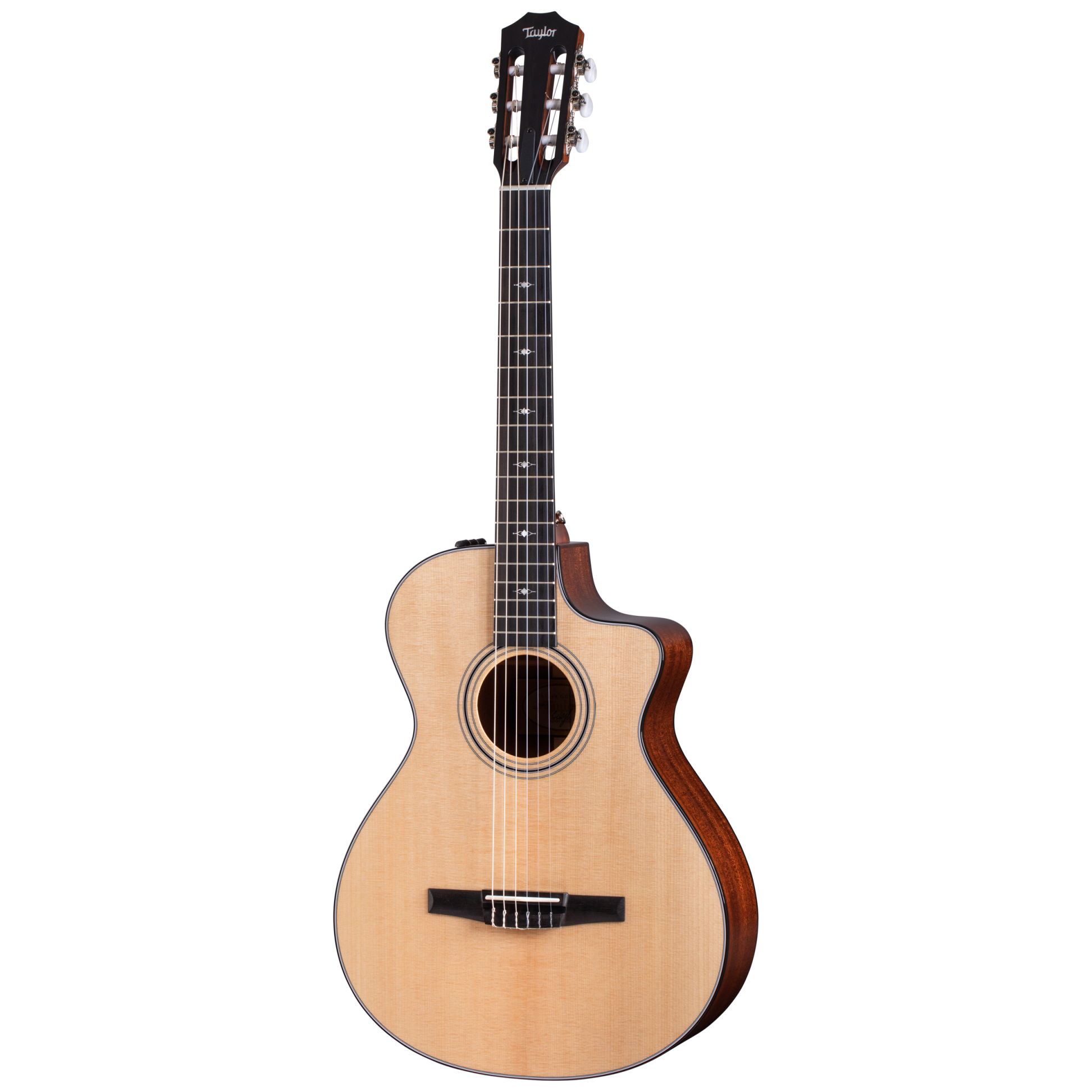 Taylor 312ce-N