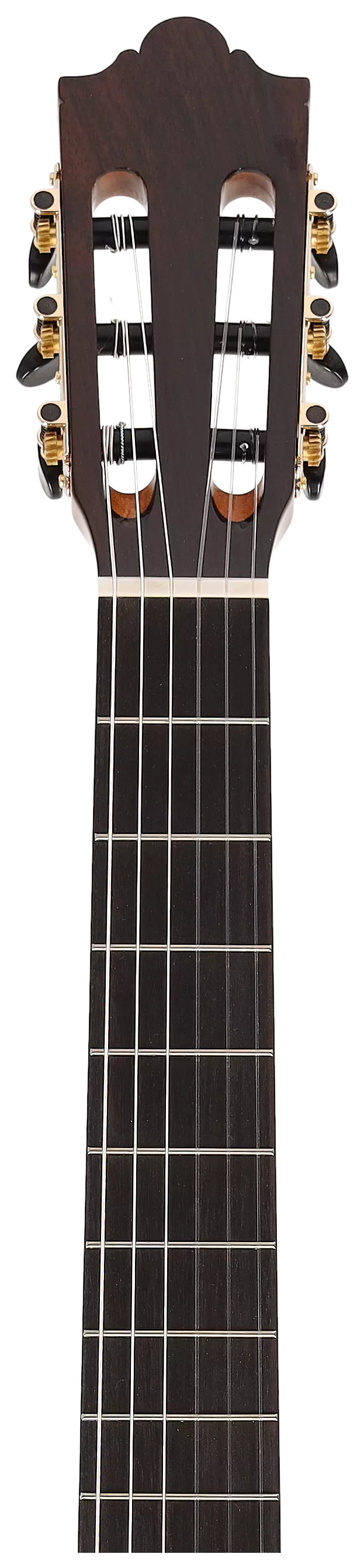 Redwood Cantora Pro 4/4 SM 11