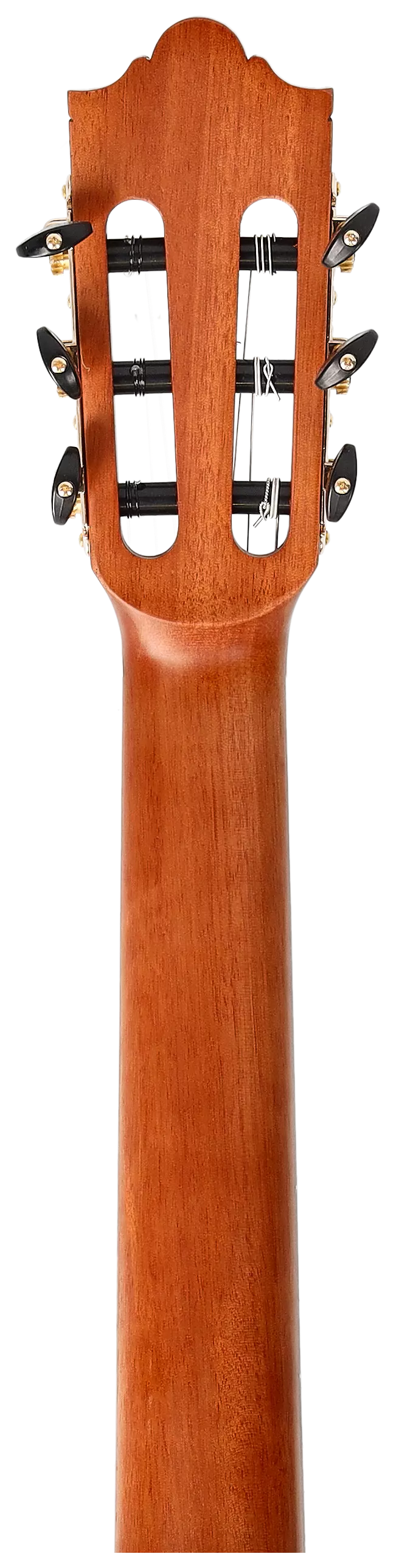 Redwood Cantora Plus 4/4 SM Satin Black 12